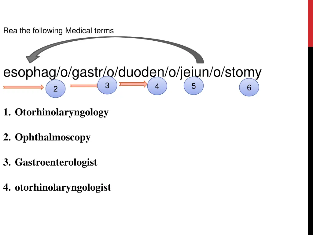 rea the following medical terms