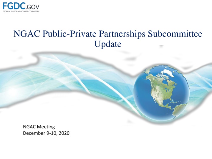 ngac public private partnerships subcommittee