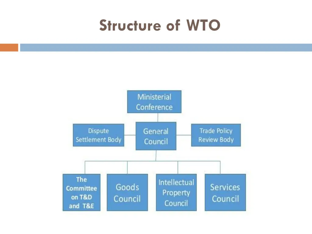 structure of wto