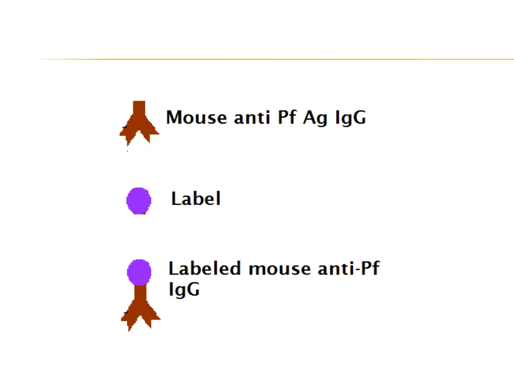 slide5