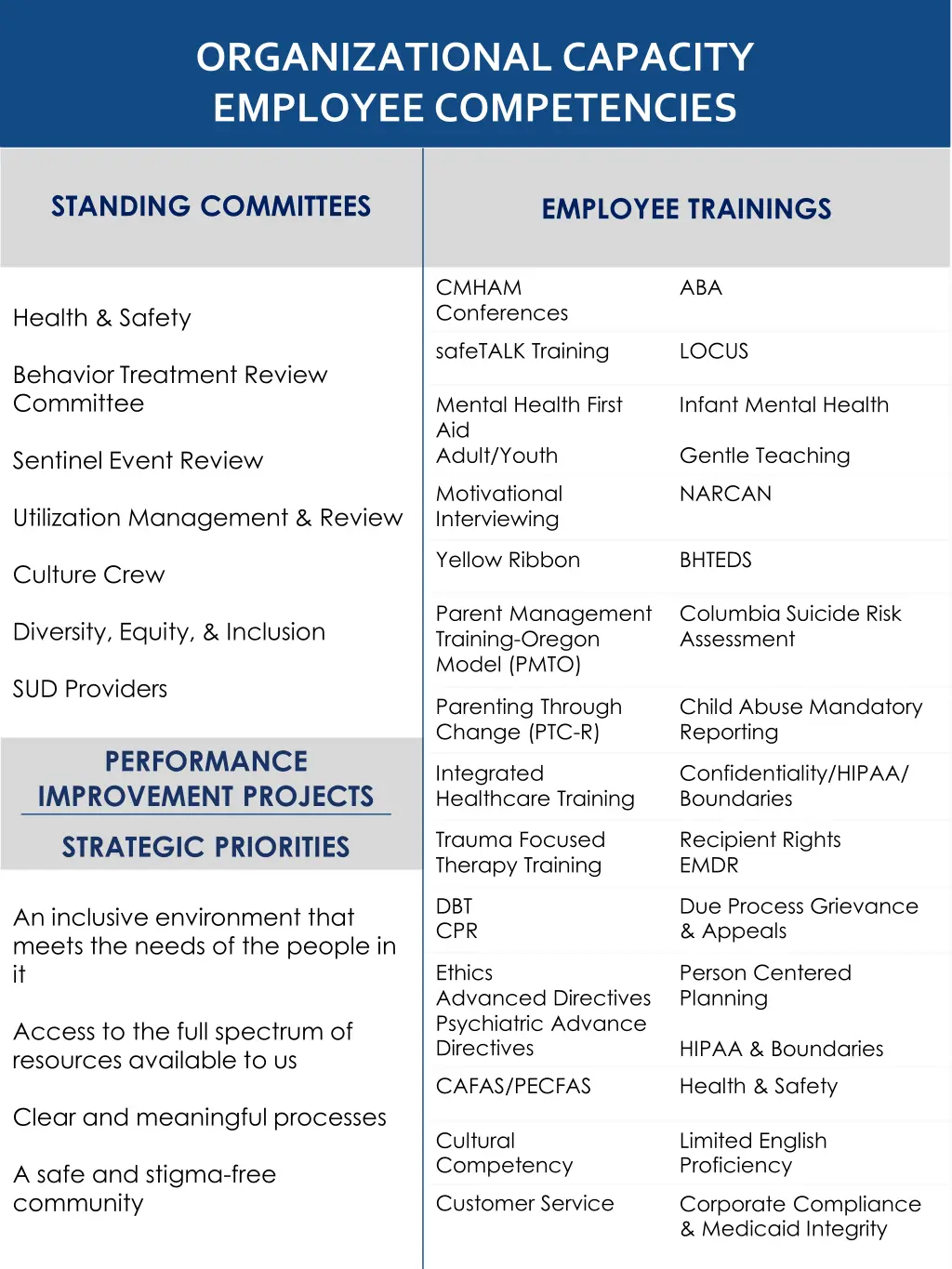 organizational capacity employee competencies