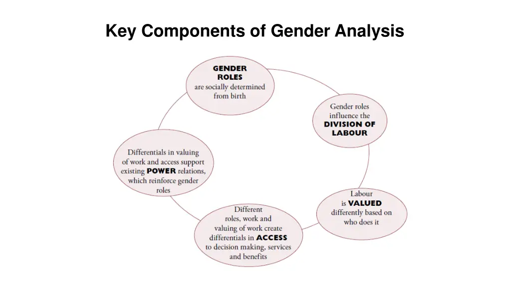 key components of gender analysis