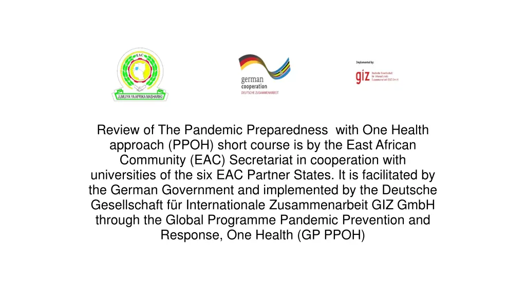 review of the pandemic preparedness with