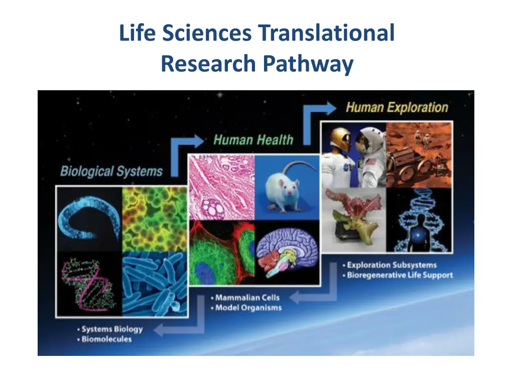 life sciences translational research pathway