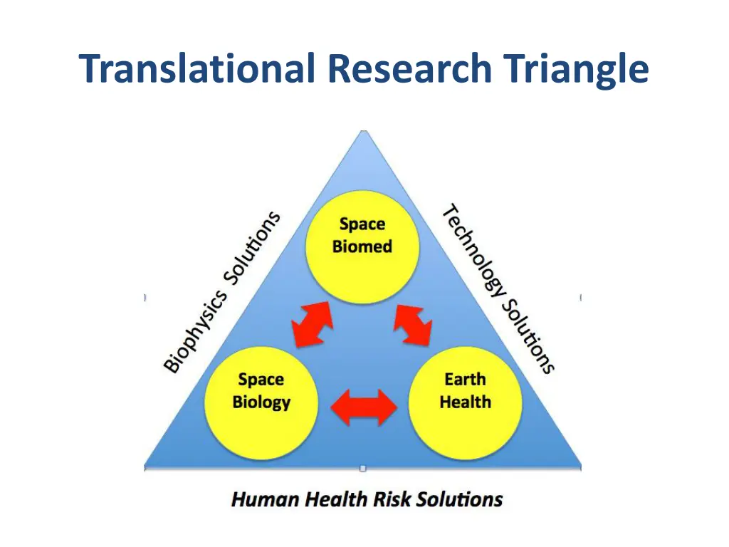 translational research triangle