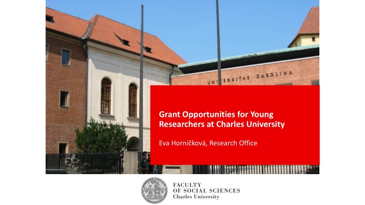 grant opportunities for young researchers