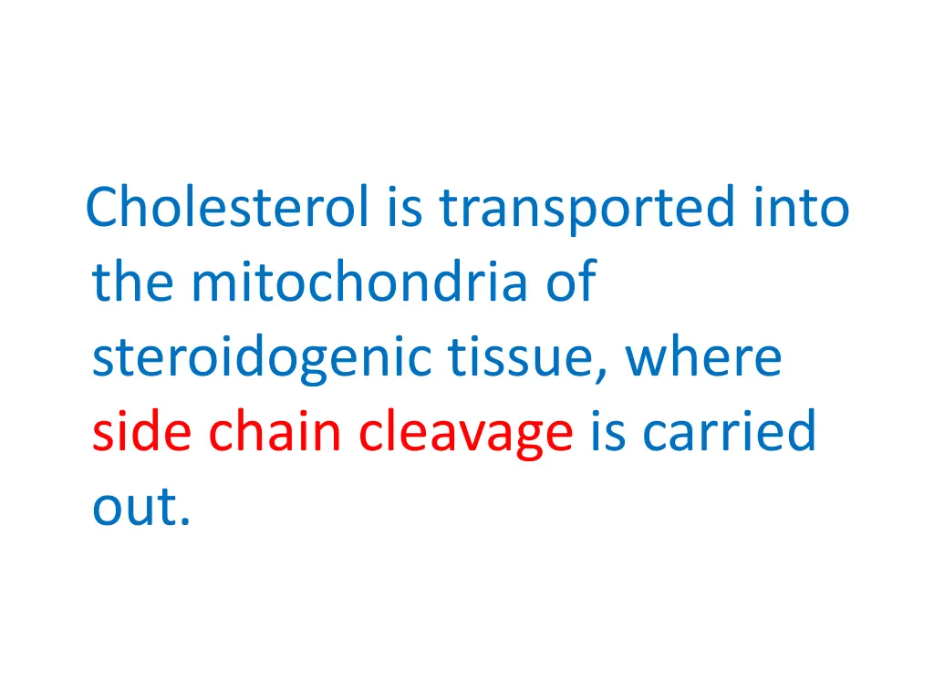 cholesterol is transported into the mitochondria