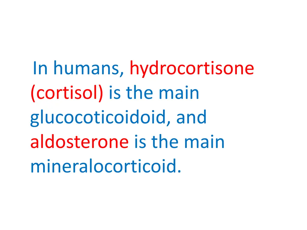 in humans hydrocortisone cortisol is the main