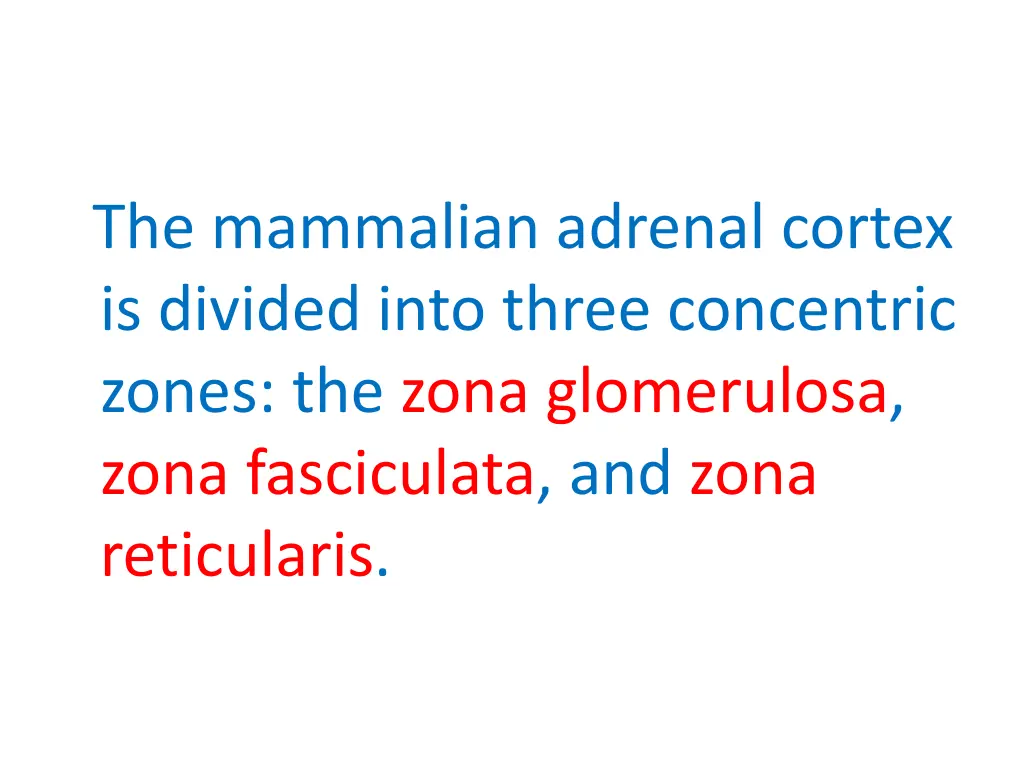 the mammalian adrenal cortex is divided into