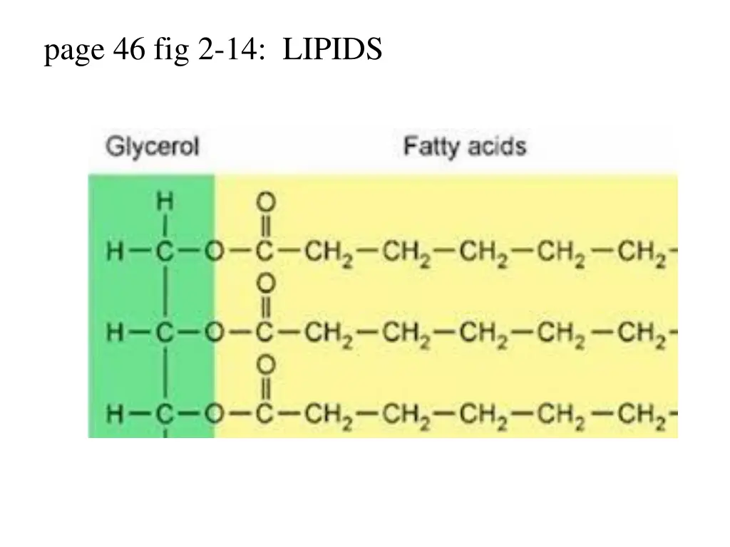 page 46 fig 2 14 lipids