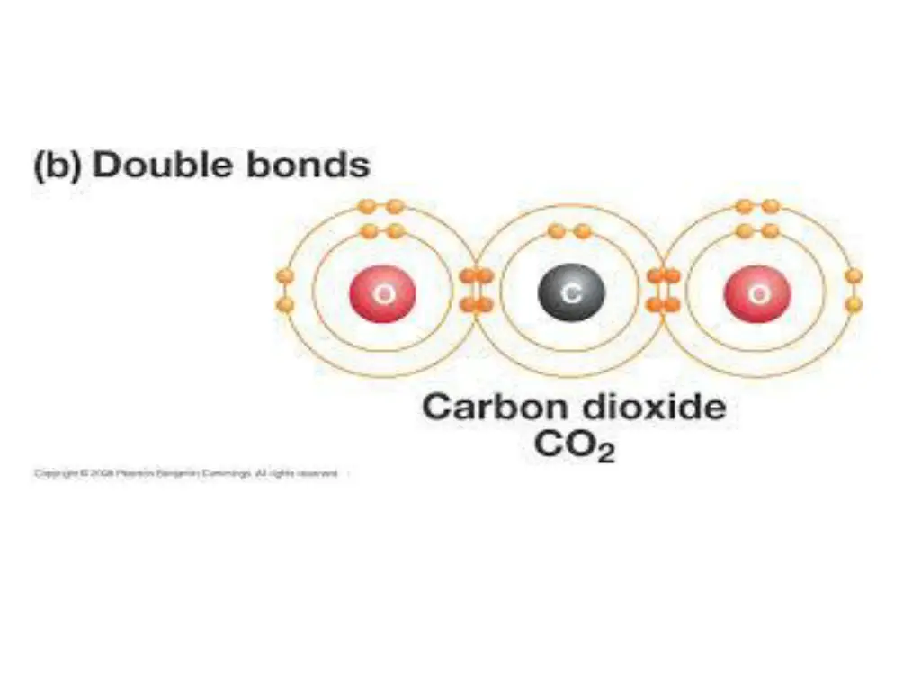 slide21