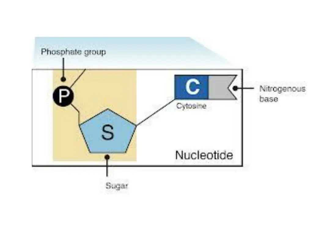 slide48
