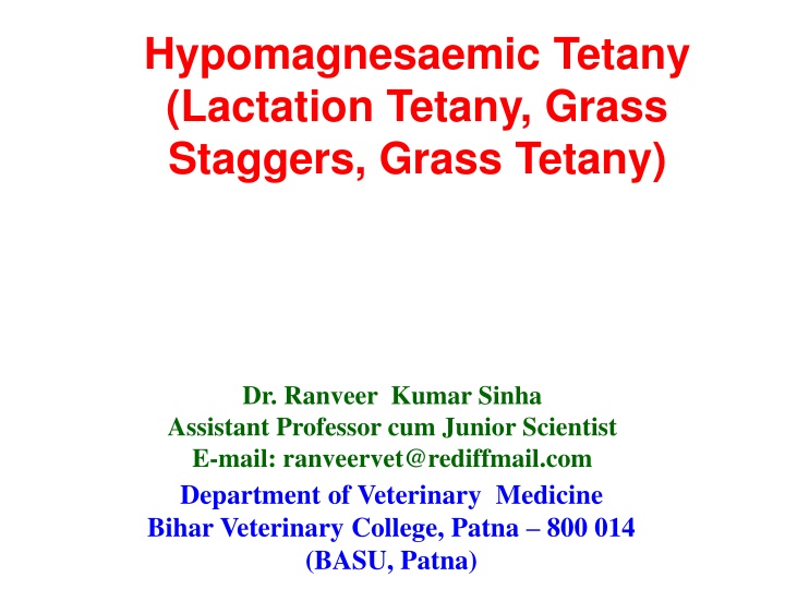 hypomagnesaemic tetany lactation tetany grass