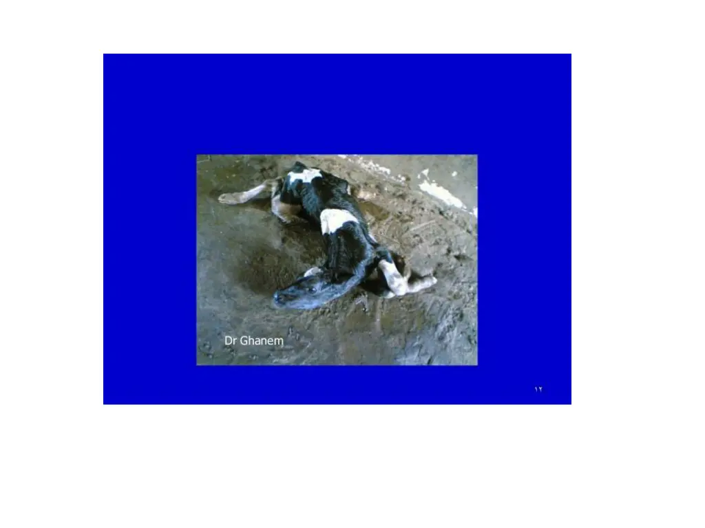 slide10