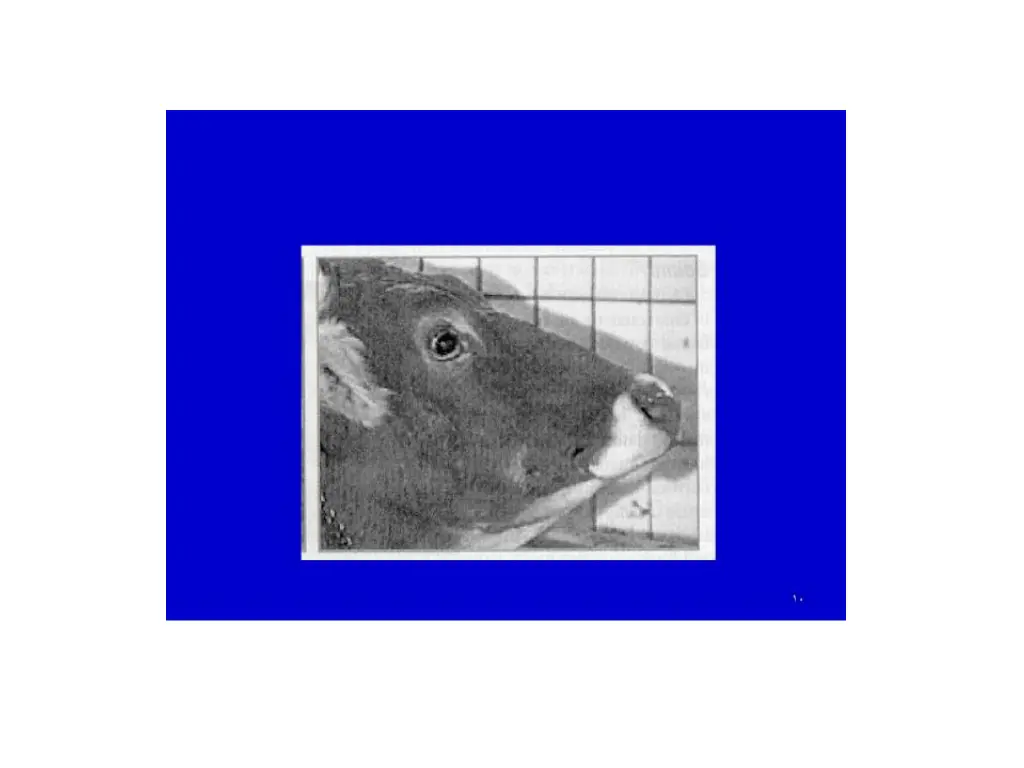 slide8