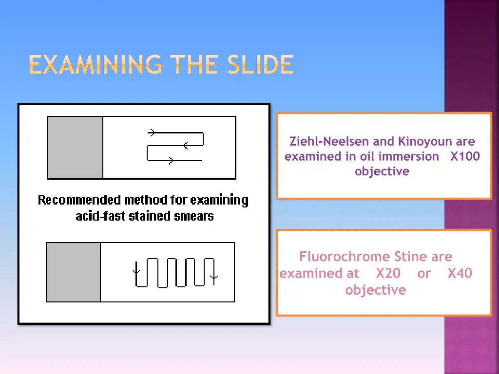 examining the slide