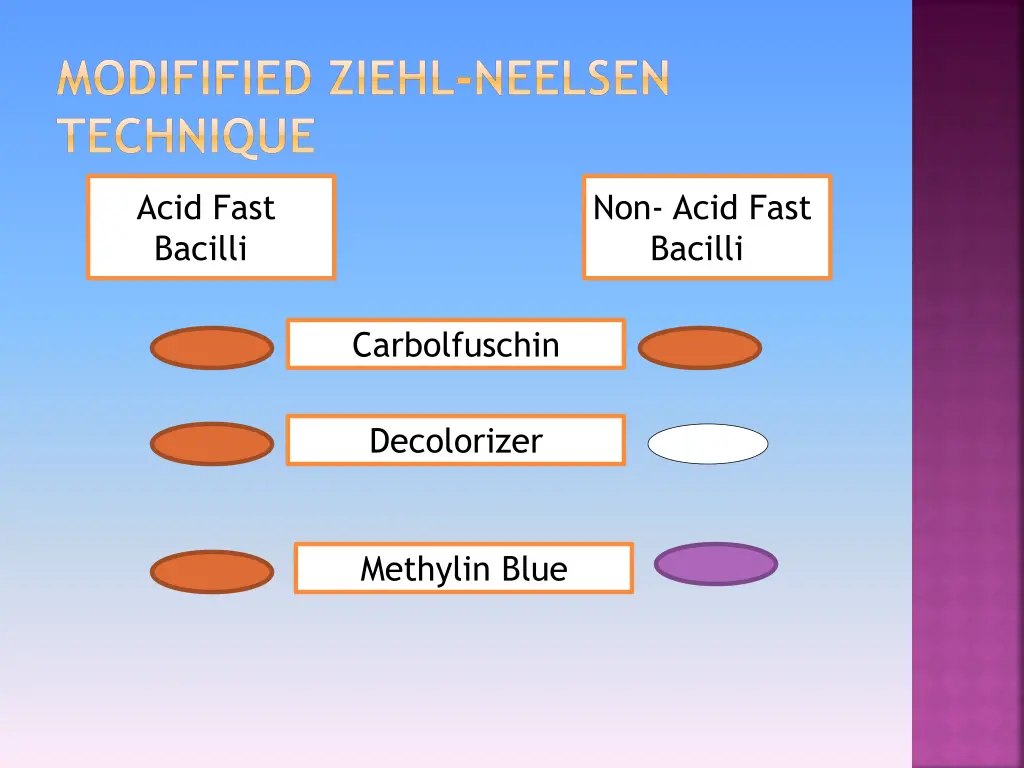 modifified ziehl neelsen technique