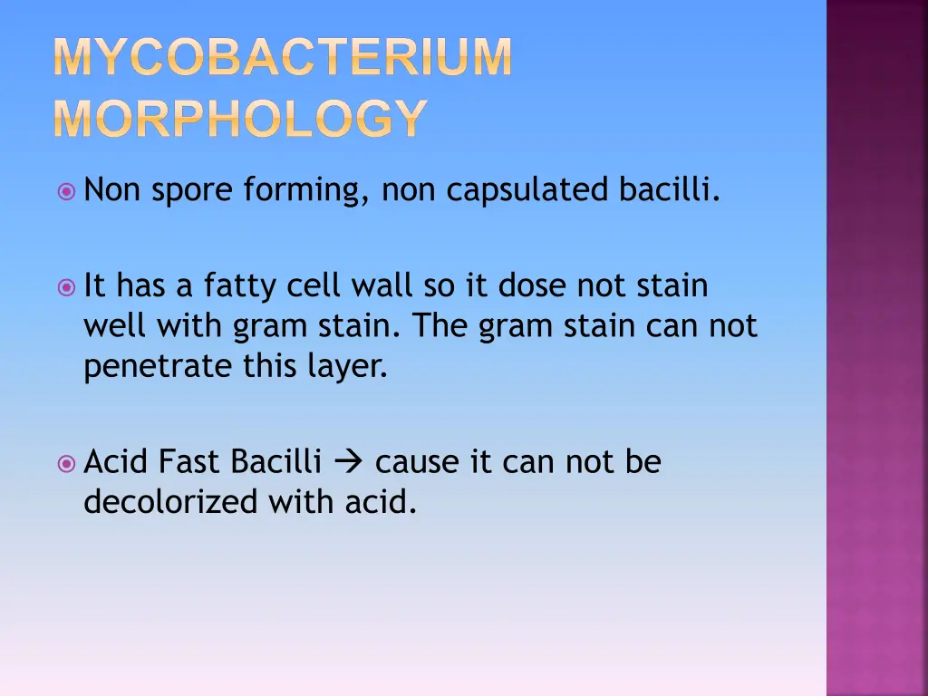 mycobacterium morphology