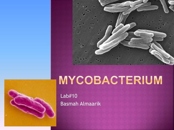 mycobacterium