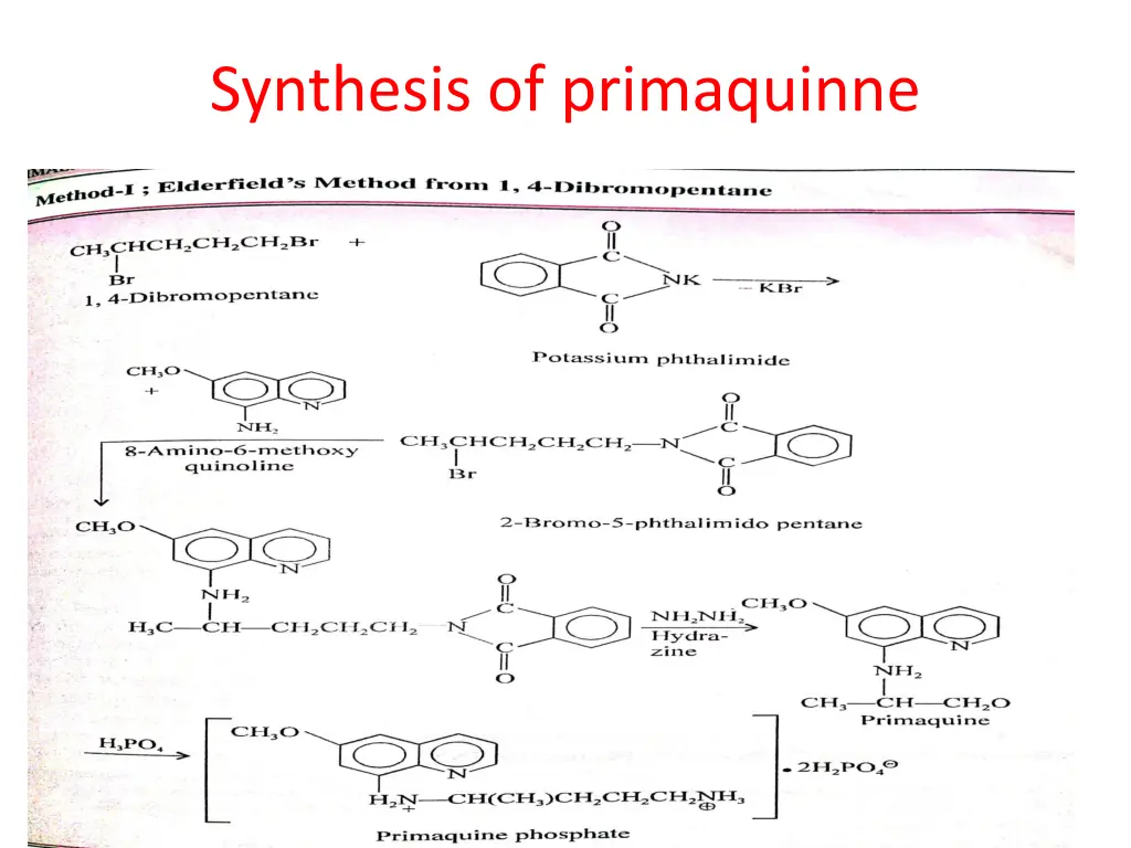 synthesis of primaquinne