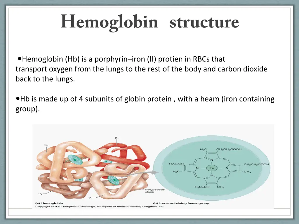 hemoglobin hb is a porphyrin iron ii protien