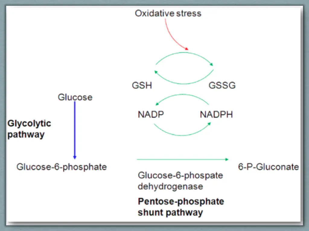 slide16