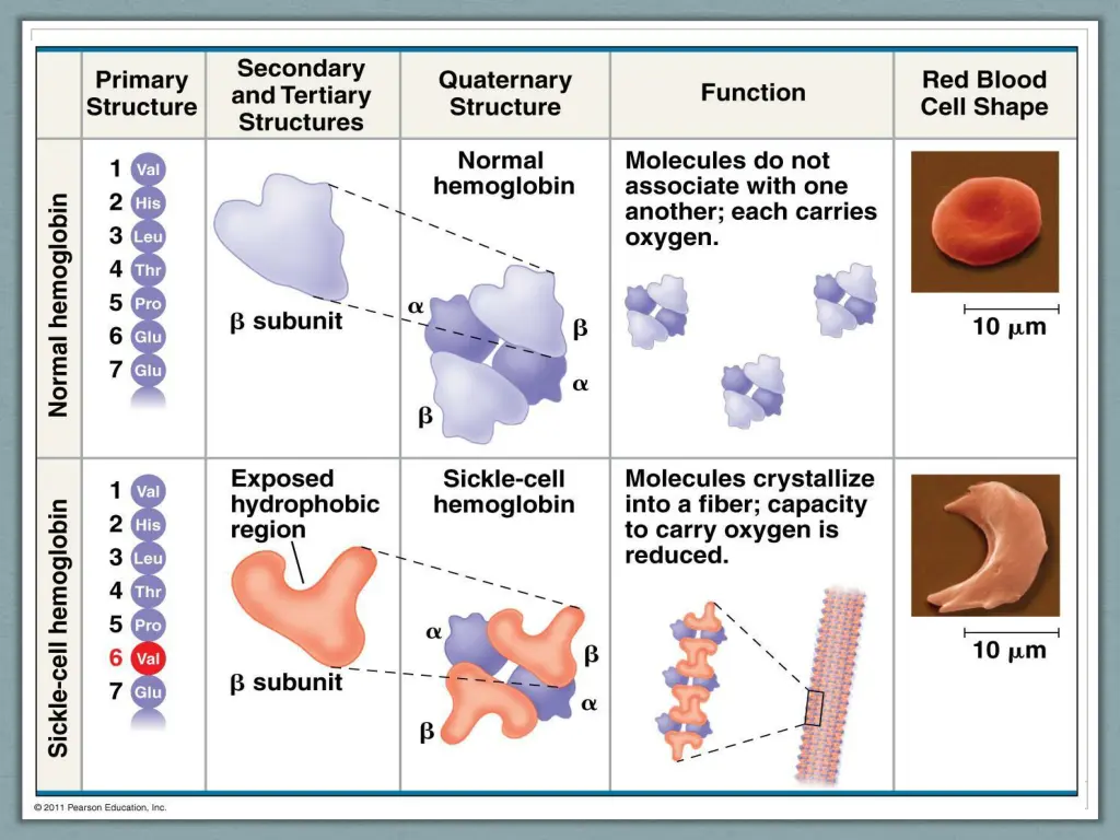 slide25
