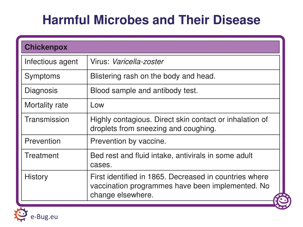 harmful microbes and their disease 8