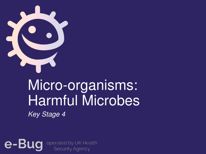 micro organisms harmful microbes key stage 4