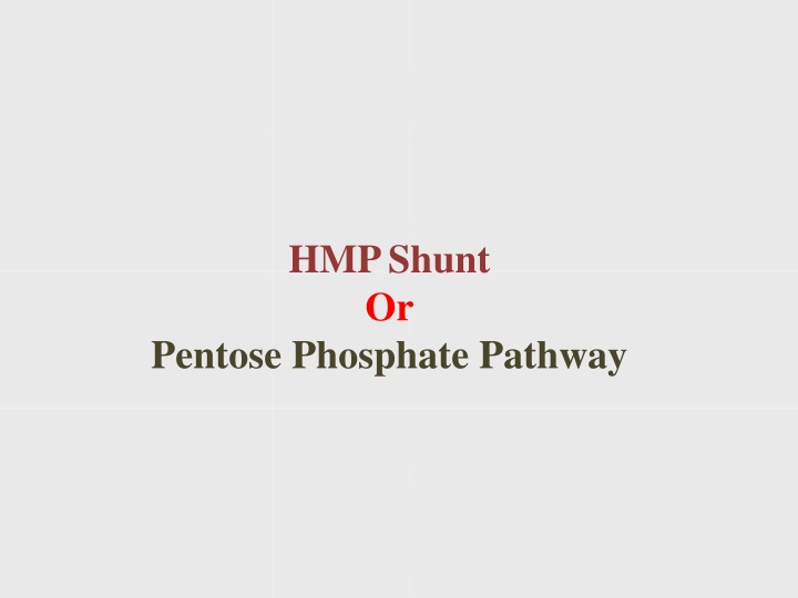 hmp shunt or