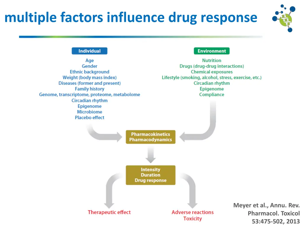 multiple factors influence drug response