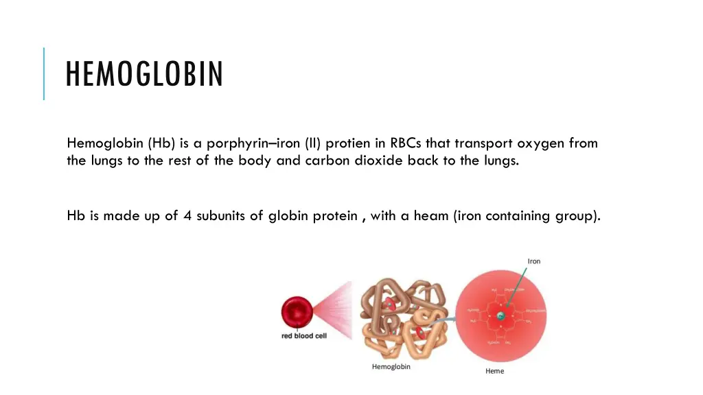 hemoglobin 1