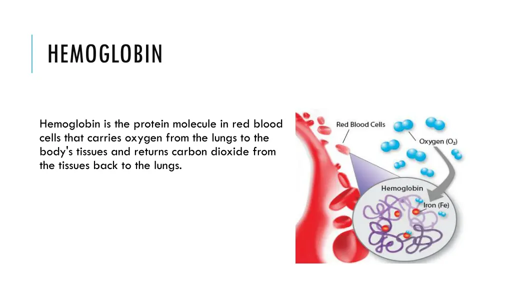 hemoglobin