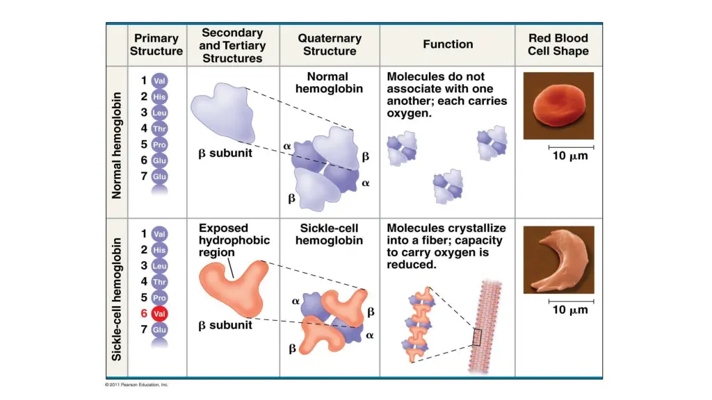 slide24