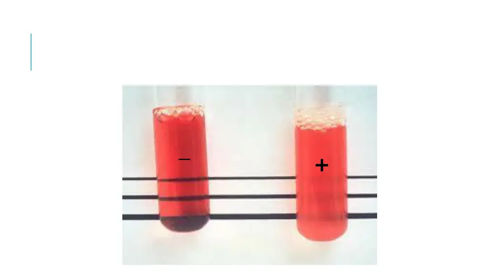 slide28