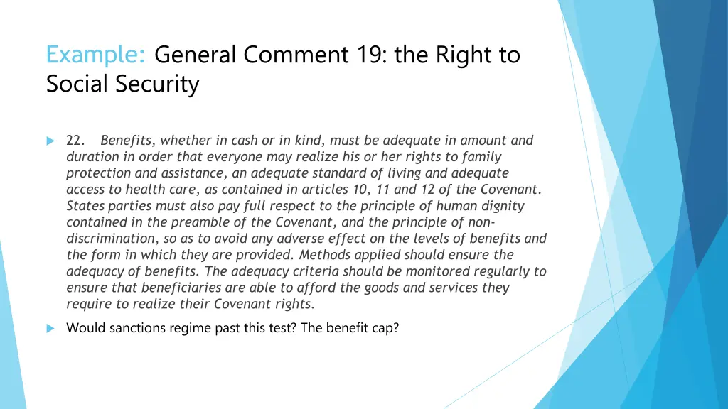 example general comment 19 the right to social