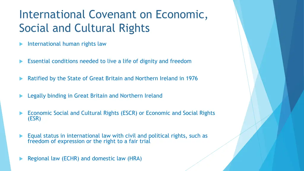 international covenant on economic social