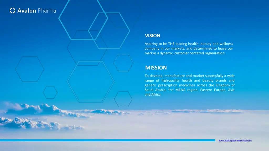 vision