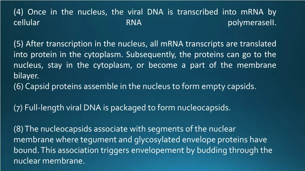 4 once in the nucleus the viral