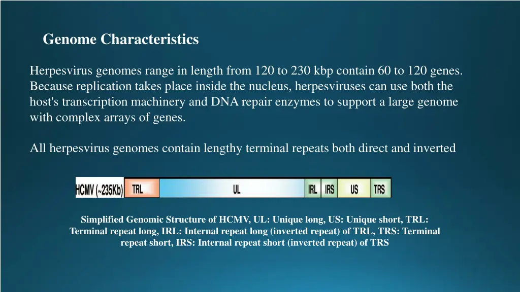 genome characteristics