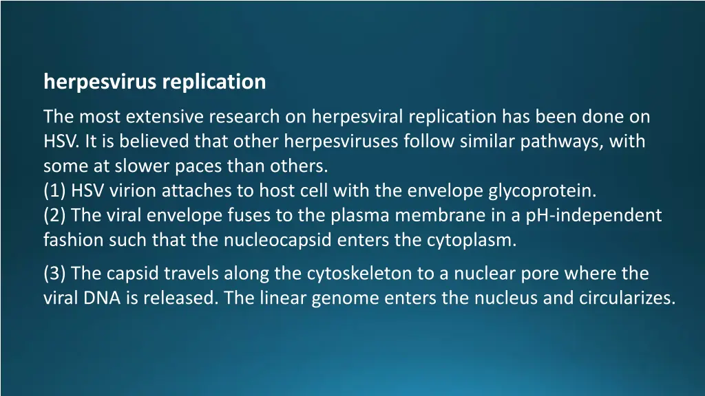 herpesvirus replication