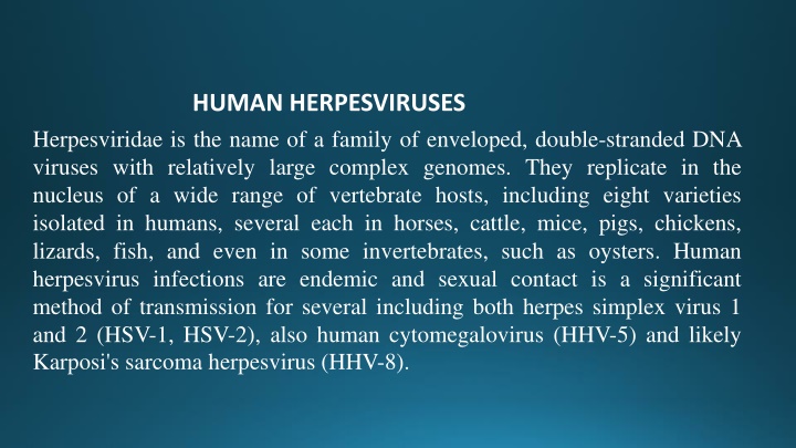 human herpesviruses