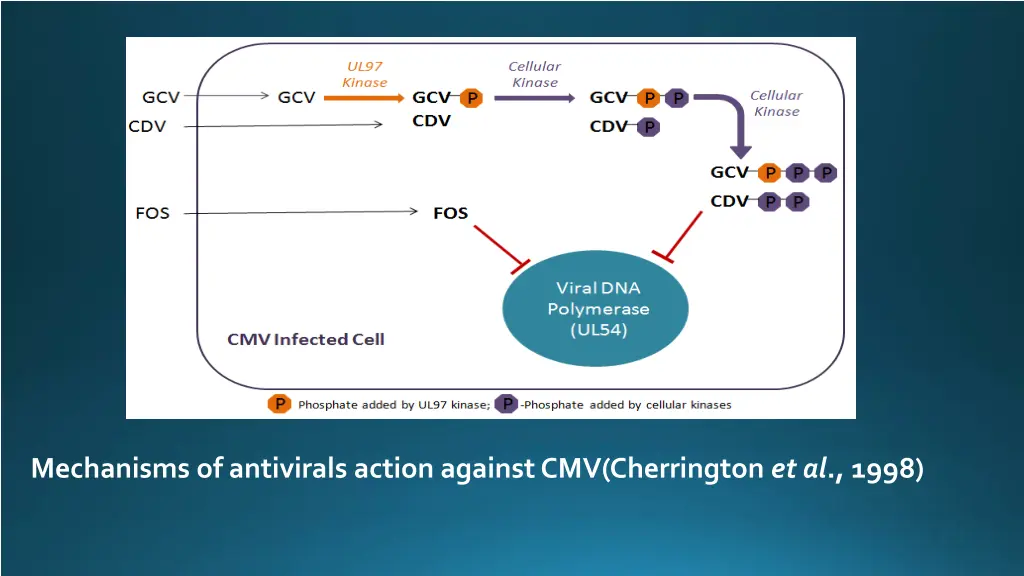 mechanisms of antivirals action against