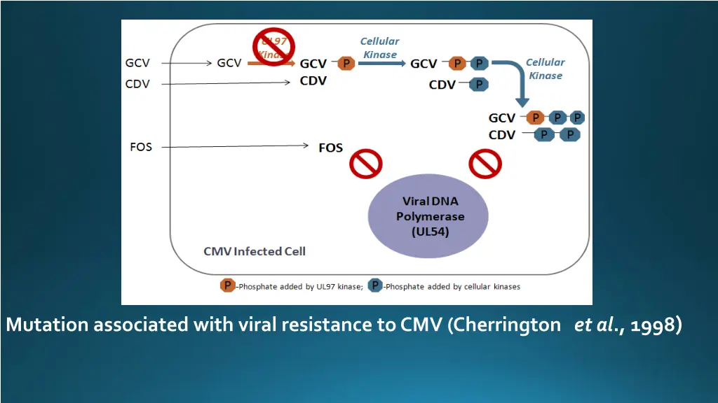 mutation associated with viral resistance