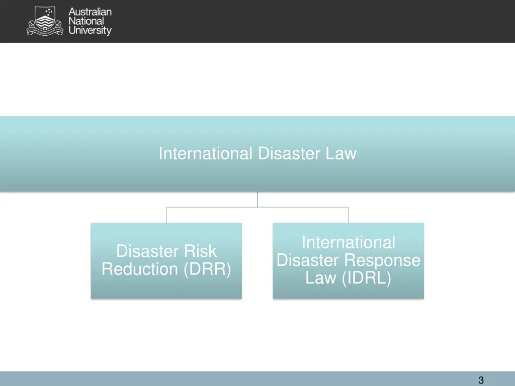 international disaster law 1