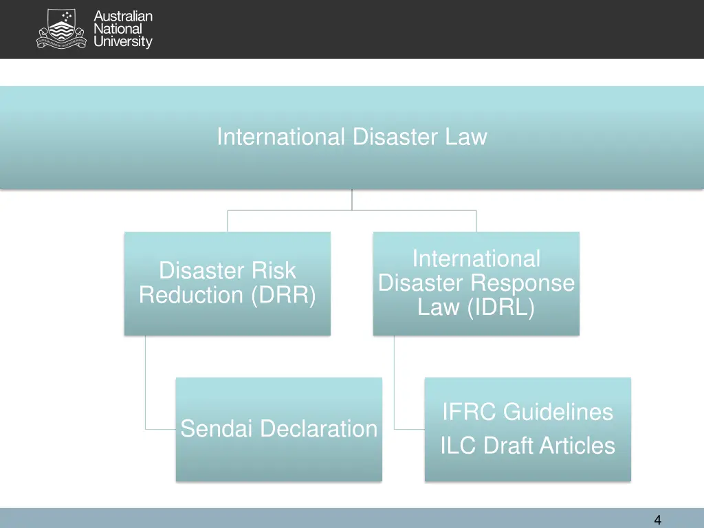 international disaster law 2