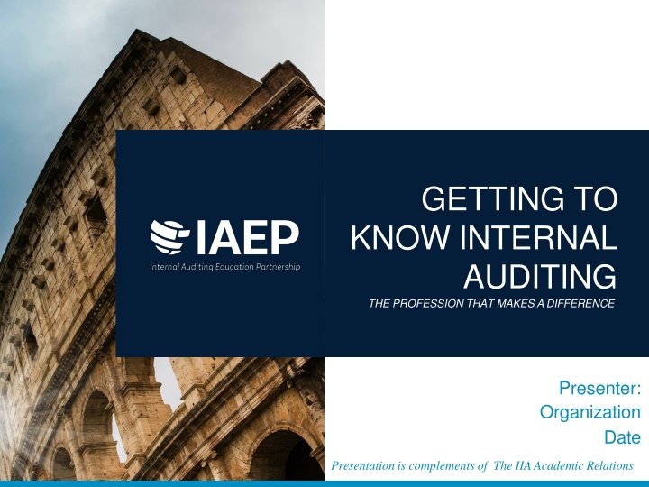 getting to know internal auditing the profession