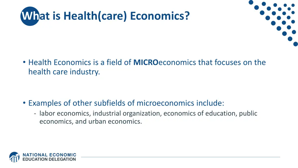 what is health care economics