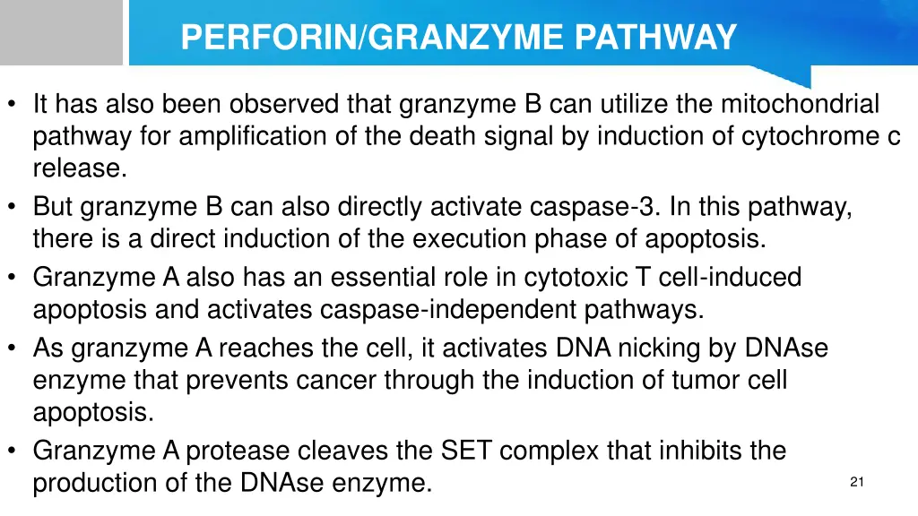 perforin granzyme pathway 1