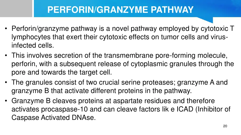 perforin granzyme pathway